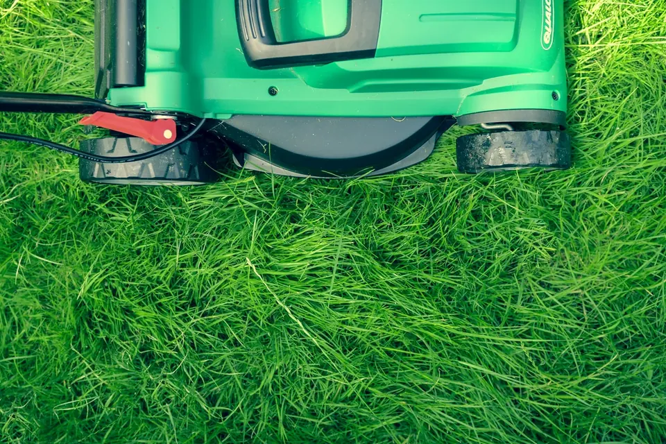 Lawn mower positioned on thick green grass