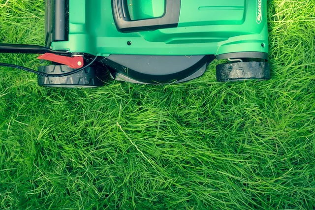 Lawn mower on green grass